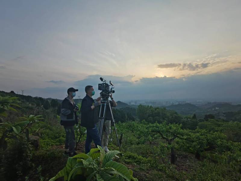 美兰区广告片制作：用专业整合能力，解锁品牌传播新势能